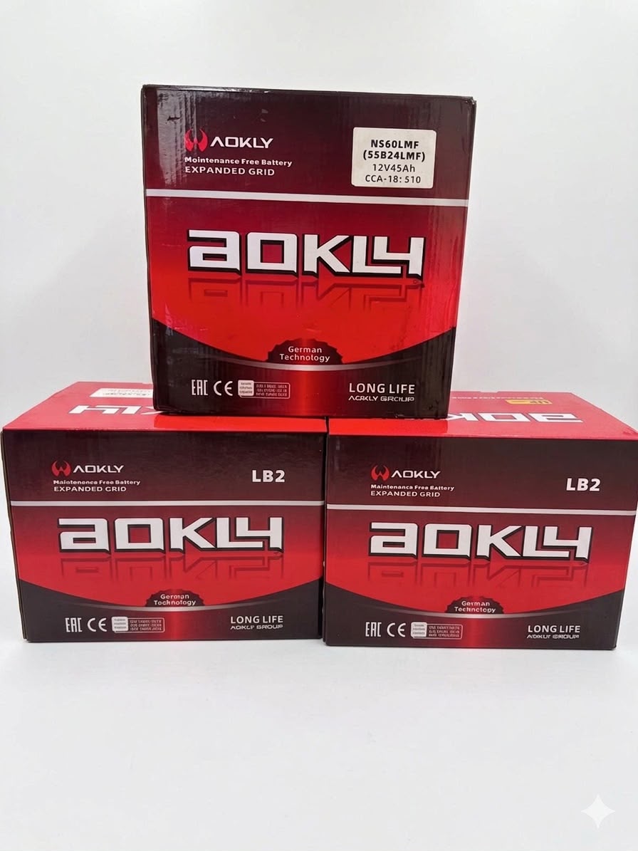 Baterías de Auto Aokly (12 Volt)
